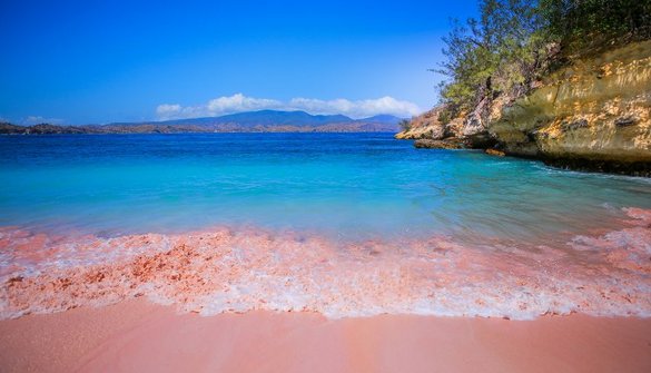 Tropisch strand met blauwe zee en roze zand