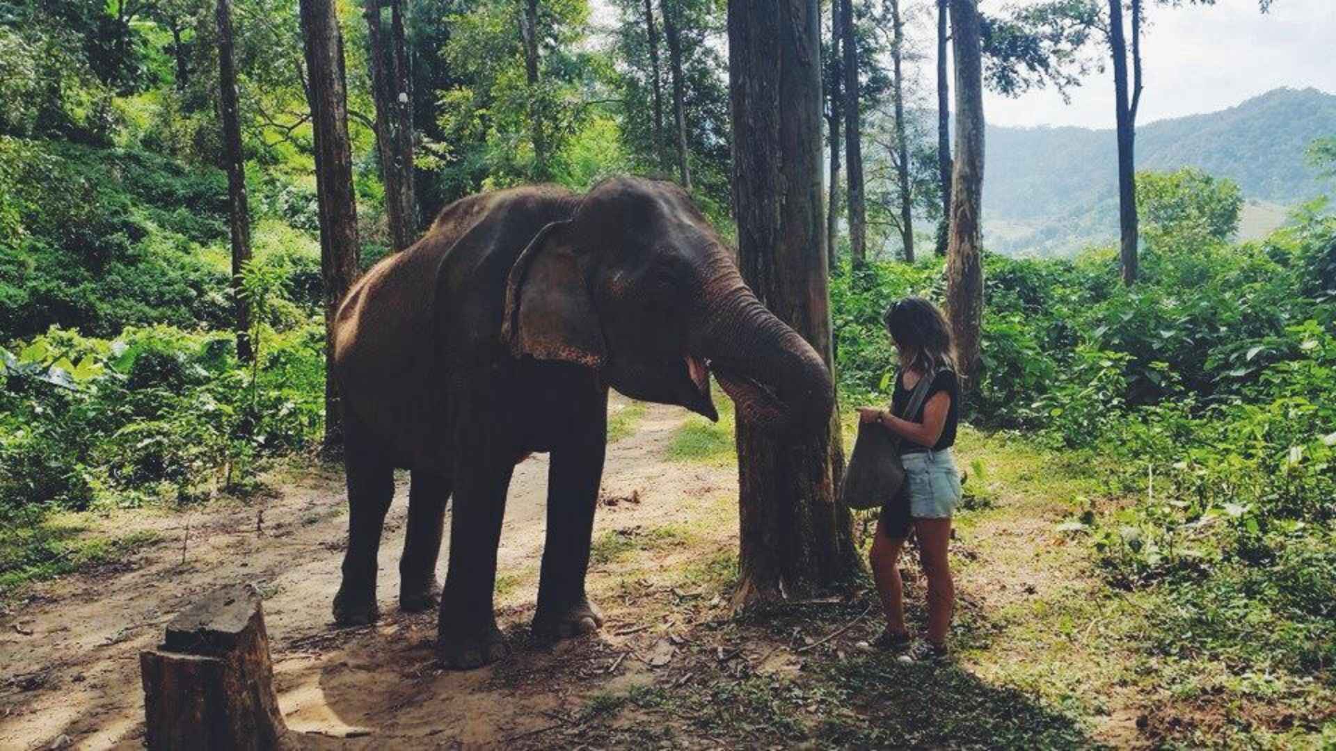 Anja met een olifant