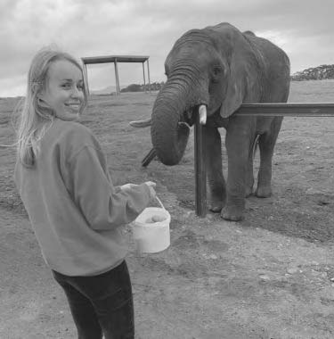 Rinkel collega Janine Wilbrink voert een Afrikaanse olifant